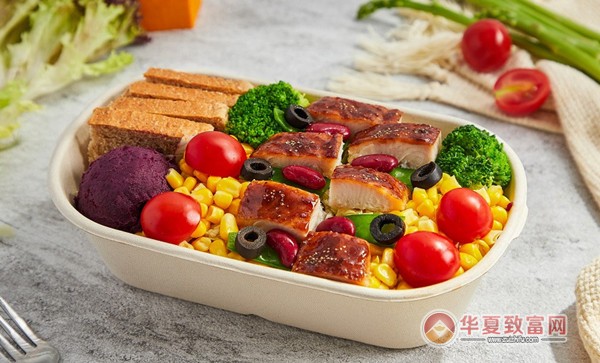 九木轻食加盟